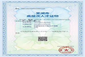 蕪湖市高層次人才證明